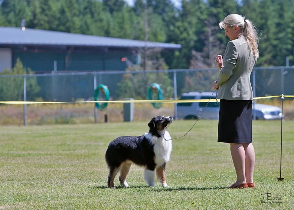 Torch Of Angel'Crossings Torch étalon extérieur utilisé