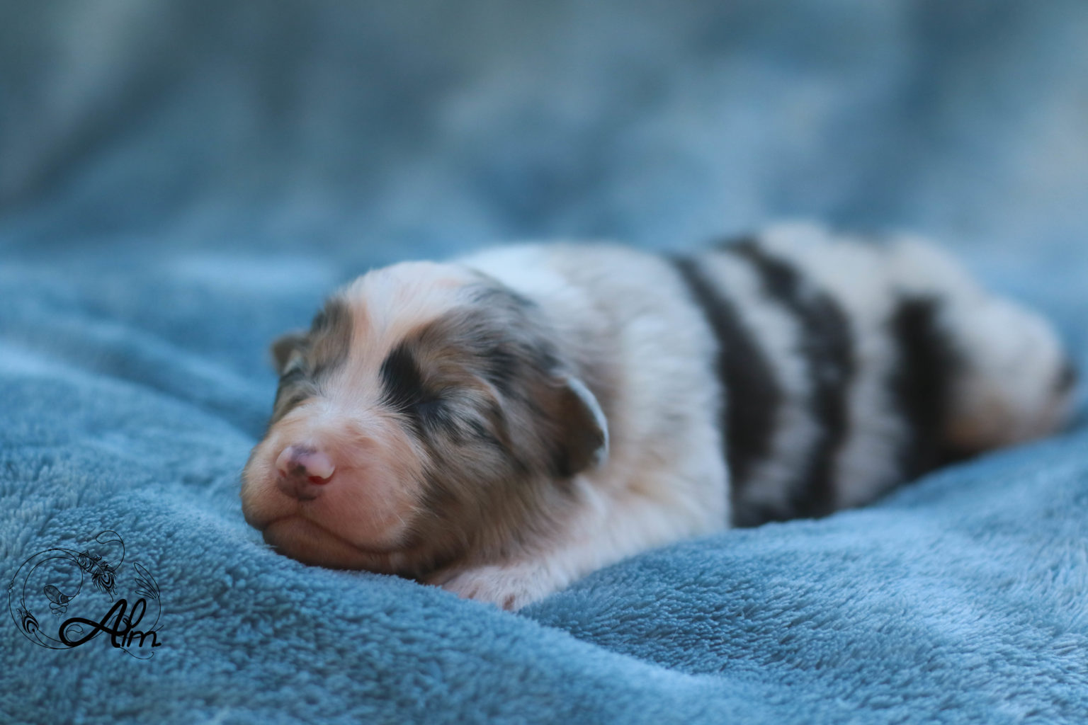 News 2022 Of Angel'Crossings